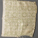 Rare <i>Eyebright</i>  Silk