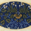 Eyebright