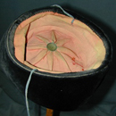 Spring/Autumn Hat