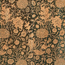 <i>Cherwell</i> registered 1887