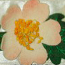 Felt Flowers