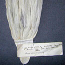 Muslin Stock