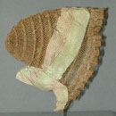Hemp Bonnet c 1840
