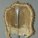 Hemp Bonnet