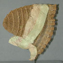 Hemp Bonnet