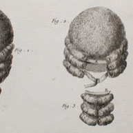 Perruguier Baigneur