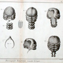 Perruguier Baigneur
