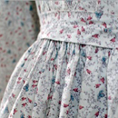 Fall Front Day Dress
