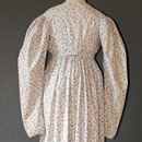 Fall Front Day Dress