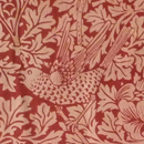 Bird & Anemone 