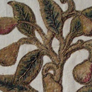 A <i>Slip</i> of Pears early 17th c