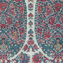 Pashmina Fragment