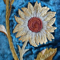 Sunflower Length