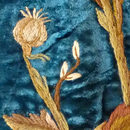Sunflower Length