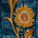 Sunflower Length