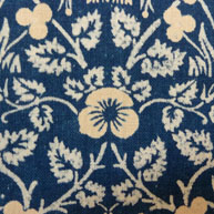 Eyebright  1883