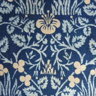 Eyebright indigo 1883