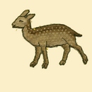Muntjac Deer <i>slip</i>