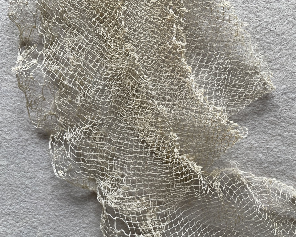 Netted Ruffles/Frill