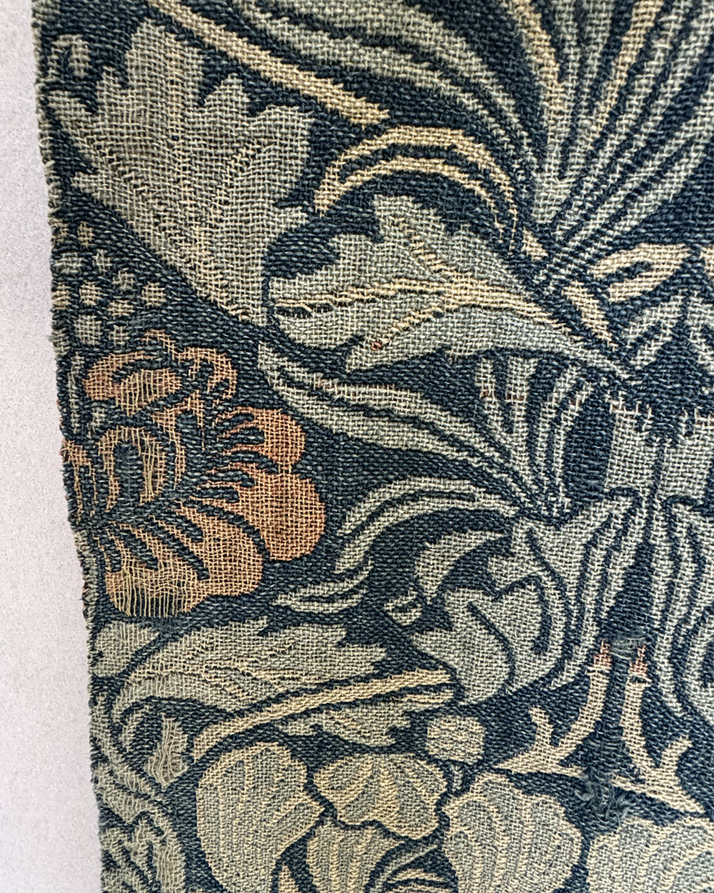 Morris <em>Tulip & Rose</em> C