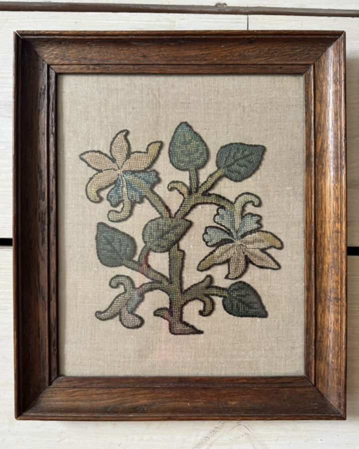 Aquilegia Embroidery