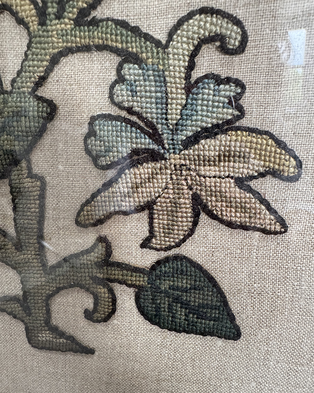 Aquilegia Embroidery