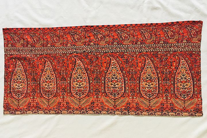 Kashmir Shawl Border