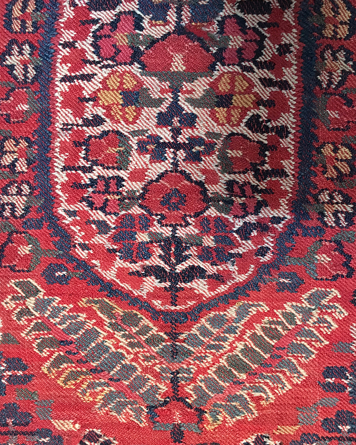 Kashmir Shawl Border