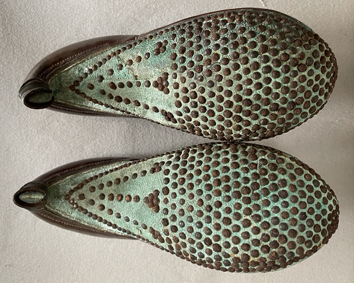 Persian Riding Shoes