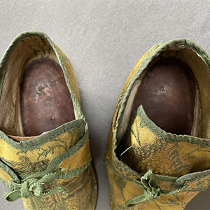 Bizarre Brocade Shoes