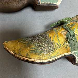 Bizarre Brocade Shoes