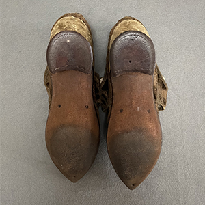 Bizarre Brocade Shoes