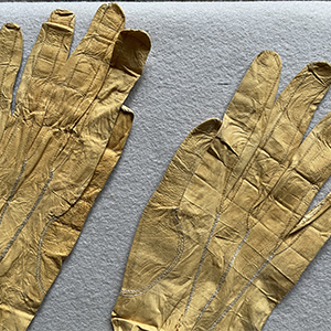 Limerick Gloves