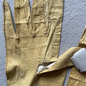 Limerick Gloves