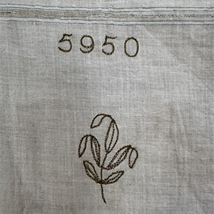 India Trade Cotton