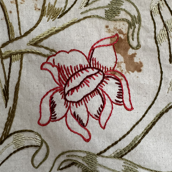 Liberty/Thomas Wardle Embroidery