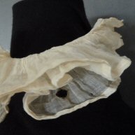 Rare Frilled Ruffle