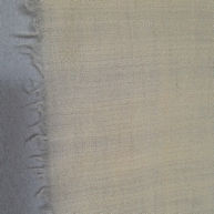 Rich Cream Pashmina