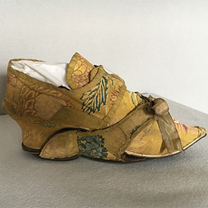 Silk Shoe and Clog