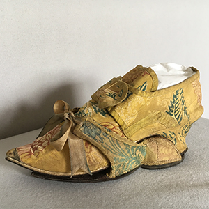 Silk Shoe and Clog