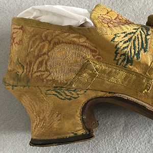 Silk Shoe and Clog