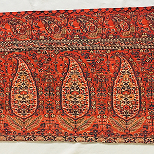 Kashmir Shawl Border