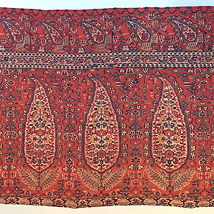 Kashmir Shawl Border