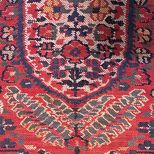 Kashmir Shawl Border