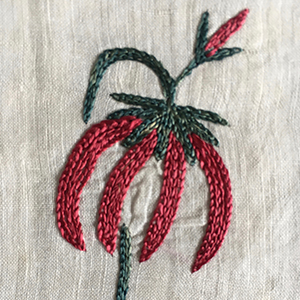Gujerati Embroidery 18th c
