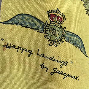 Happy Landings Scarf by Jacqmar