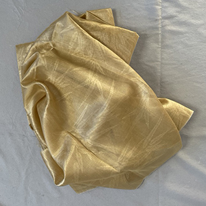 Chinese Silk Gauze 19th c