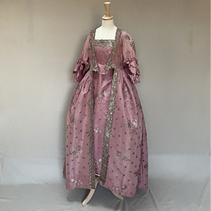 Rare Embroidered Gown