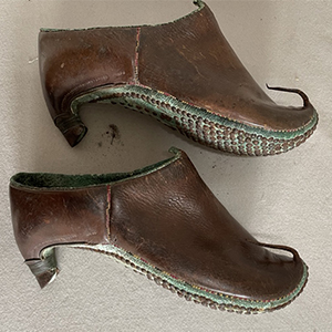 Persian Riding Shoes