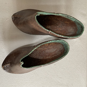Persian Riding Shoes